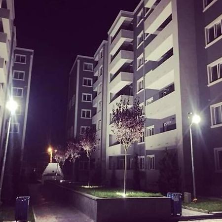 Studio Dedal Residence Năvodari المظهر الخارجي الصورة