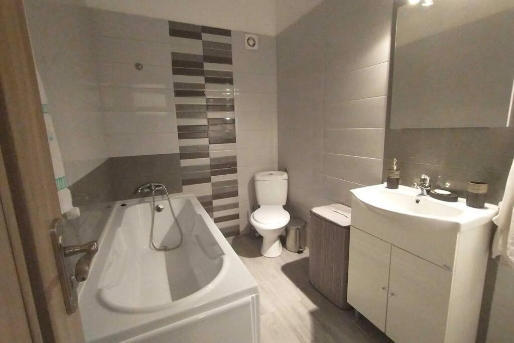 Studio Dedal Residence Năvodari المظهر الخارجي الصورة